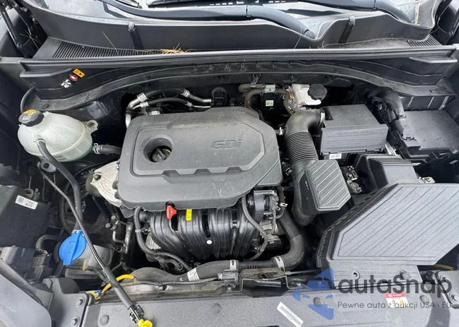 KNDPM3AC8L7823462: 66043235