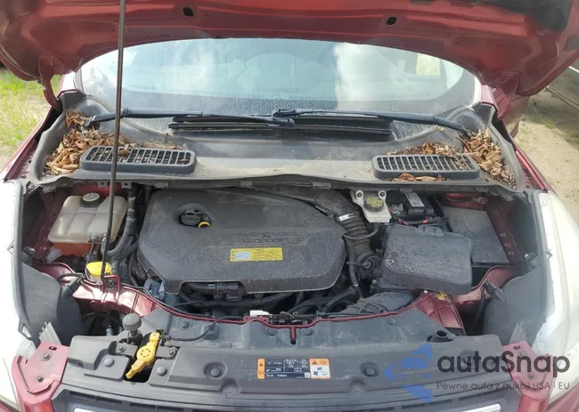 1FMCU9GX3EUB09668: 65207605