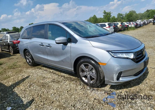 5FNRL6H59RB005861: 66365285