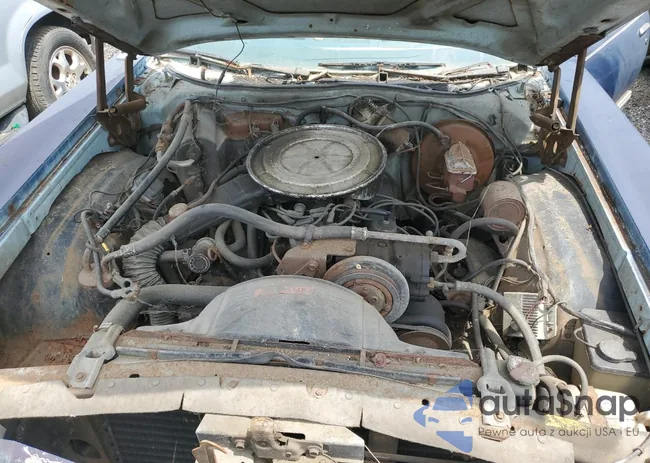 7H31F248039: 64362865