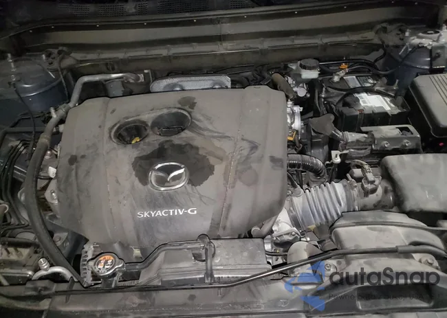 JM3KFBCM4M0489484: 63919805