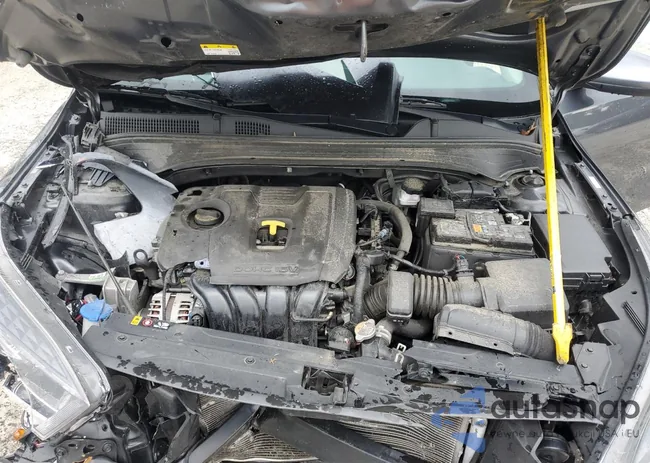 3KPF24AD0PE589050: 65610475