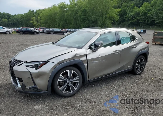 JTHP9JBH0L2021788: 64630595