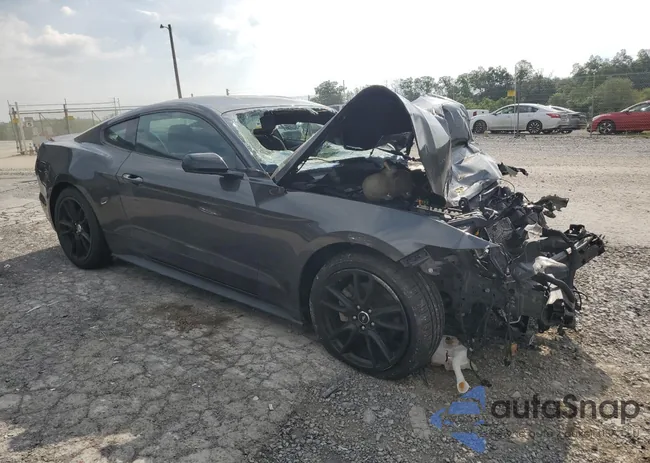 1FA6P8AM1F5404822: 65896365