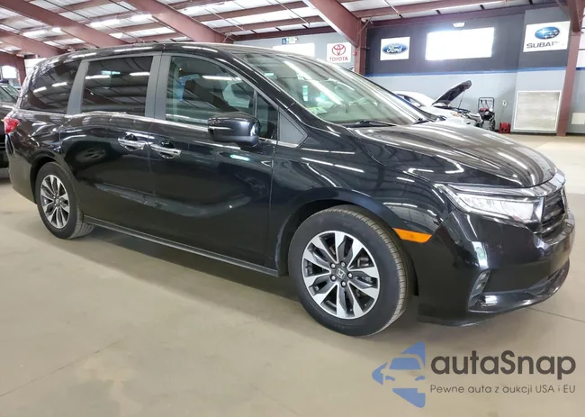 5FNRL6H71NB037019: 66258905