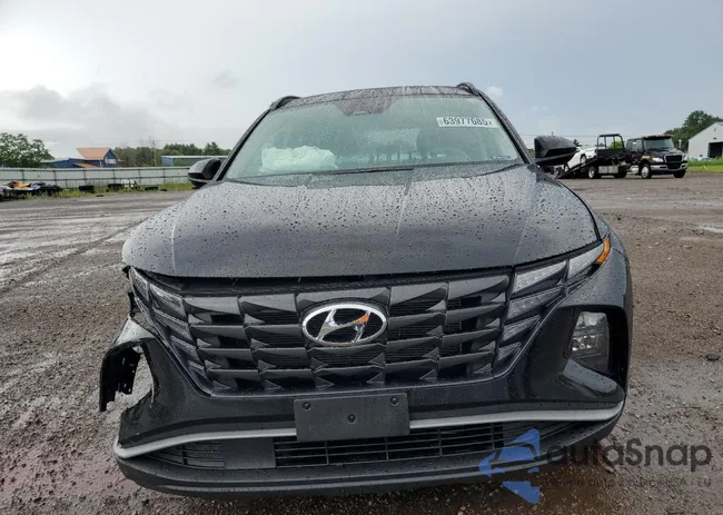 5NMJB3DE4RH317637: 63977685