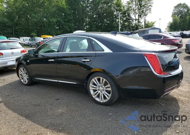 2G61M5S34K9135684: 63623945