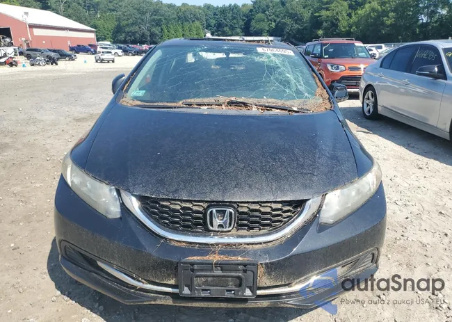 2HGFB2F81DH503651: 67064695