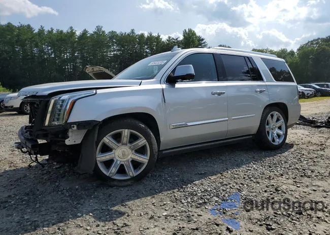 1GYS4CKJ2GR141771: 65423205