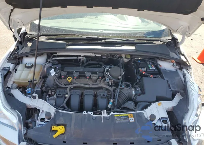 1FADP3F24DL131353: 63237665