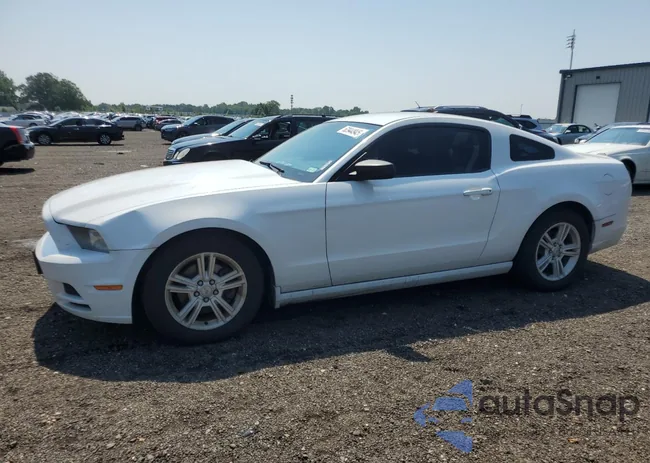 1ZVBP8AM1E5235485: 63944945