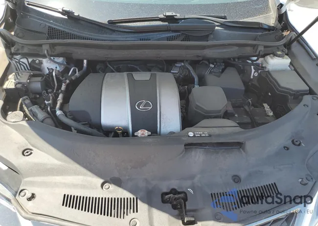 2T2YZMDA5NC320331: 66692885