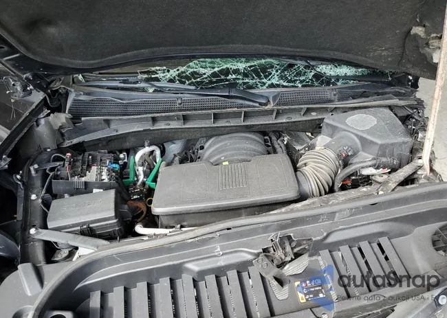 3GTUUGEL9PG206330: 64977235