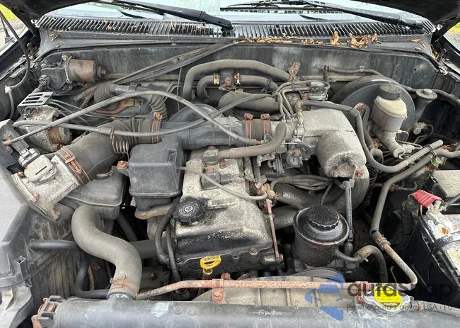 5TEWM72N44Z348227: 65088685