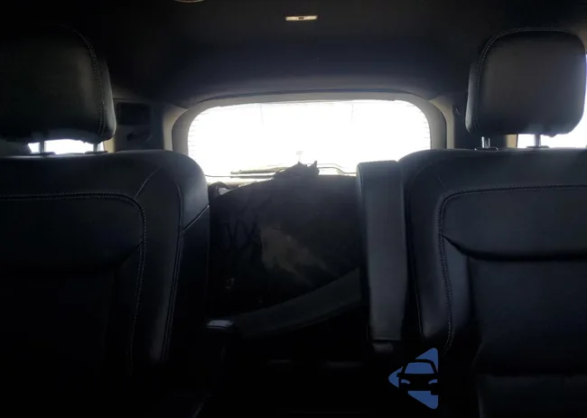 1FM5K8FW1LGA00705: 64450035