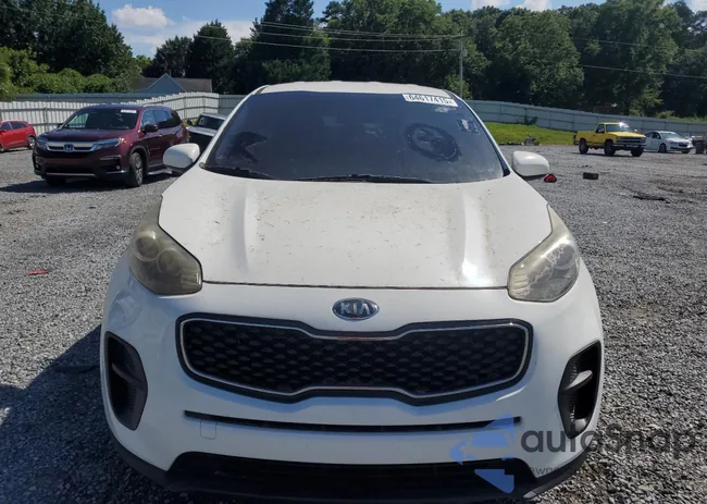 KNDPM3AC3J7319317: 64617415