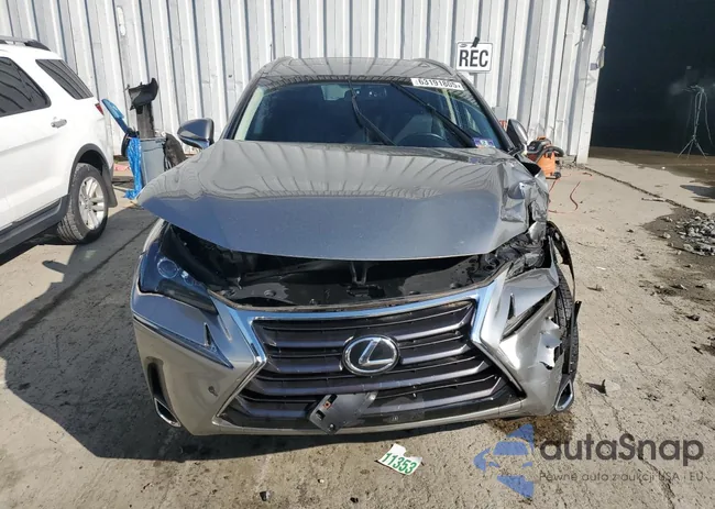 JTJYARBZ8F2003061: 63191805