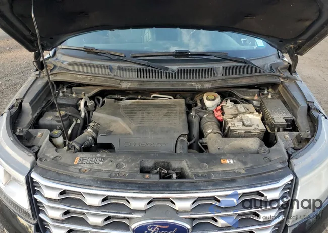 1FM5K8HT4GGD33408: 65019395