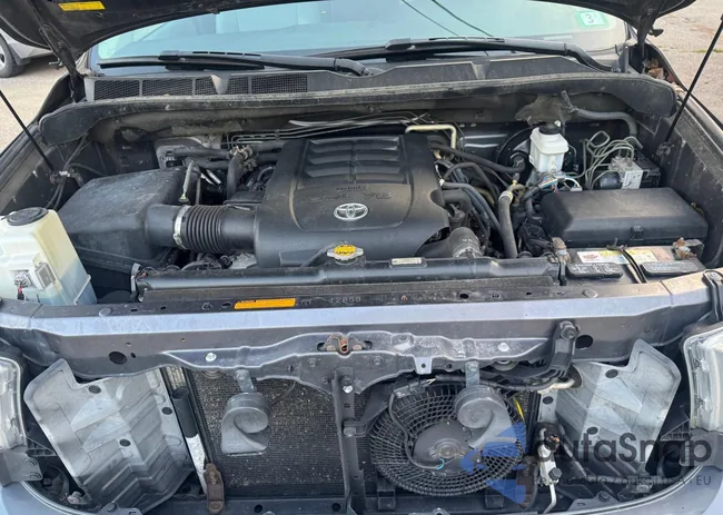 5TDJY5G16CS064621: 63850175