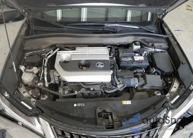 JTHX3JBH0M2032907: 66806595