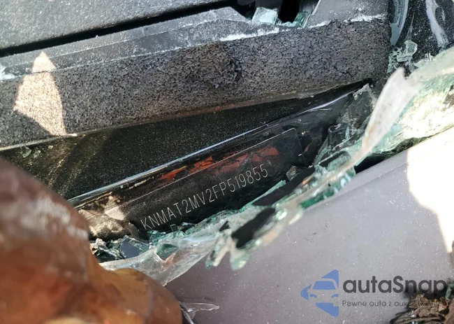 KNMAT2MV2FP519855: 66482565