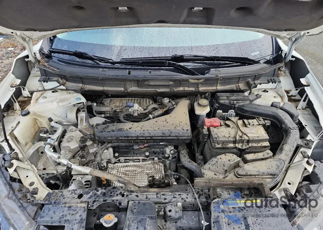 5N1AT2MT4KC797782: 64803785