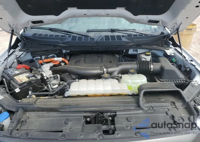 1FTFW1ED3PFD10029: 66807075