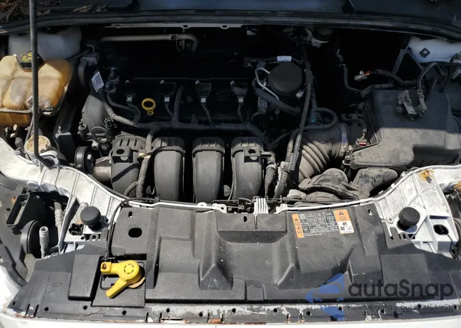 1FADP3F2XGL204472: 68378244