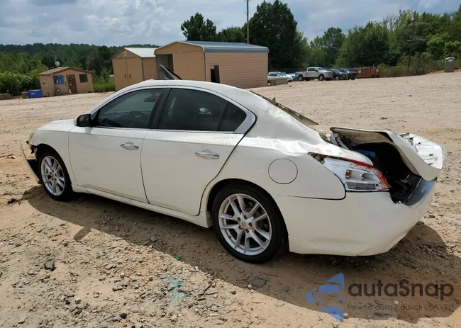 1N4AA5AP2BC843859: 69851945