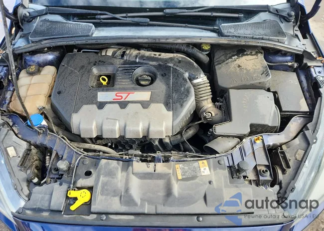 1FADP3L94GL394917: 69887555