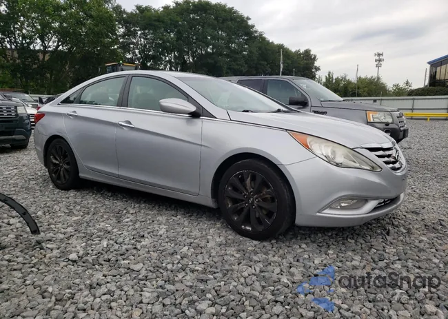 5NPEC4AB3BH177524: 69169495