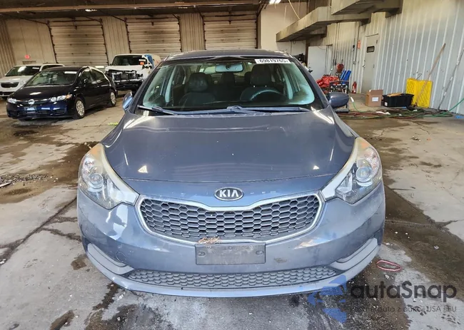 KNAFK4A60E5048281: 69819765