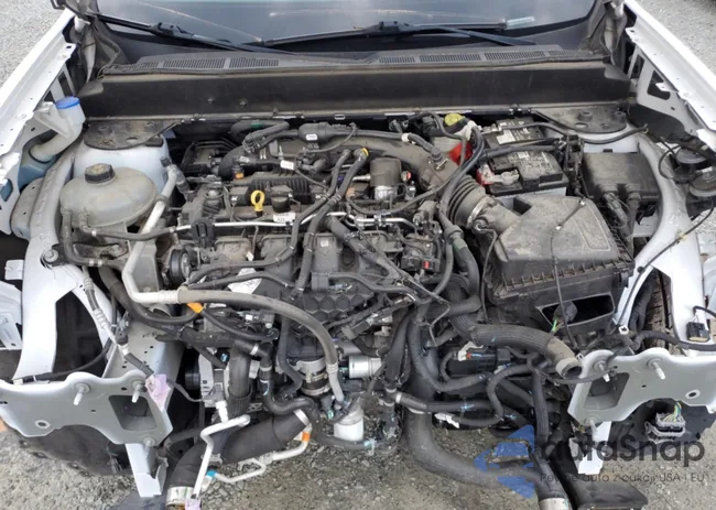 3FTTW8F98NRA31987: 66919845