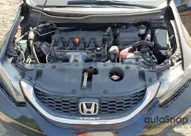 19XFB2F57FE287744: 67833135