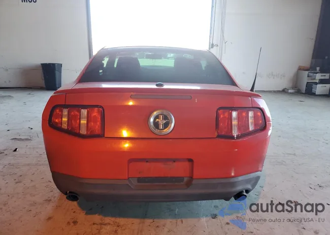 1ZVBP8AM3C5235405: 67774675