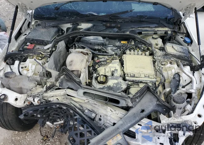 W1KAF4GB8RR226237: 67365155