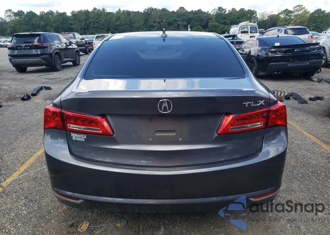 19UUB1F5XLA009244: 67018165