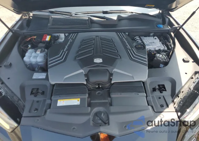 ZPBUA1ZLXKLA03063: 69184135