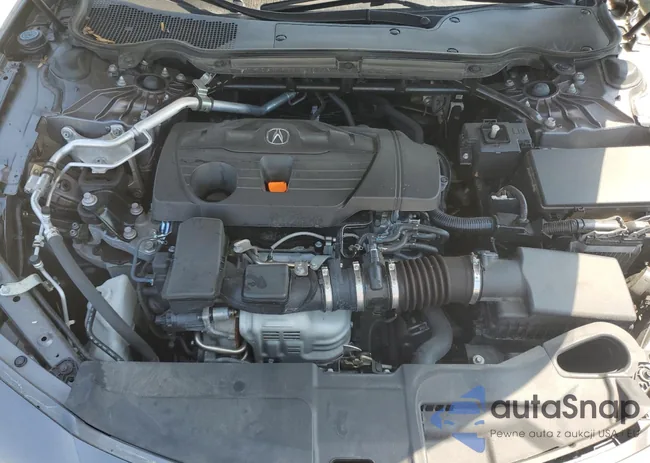 19UUB5F39PA007366: 67136795