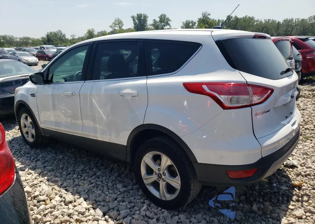 1FMCU9GX8GUB24606: 67601385