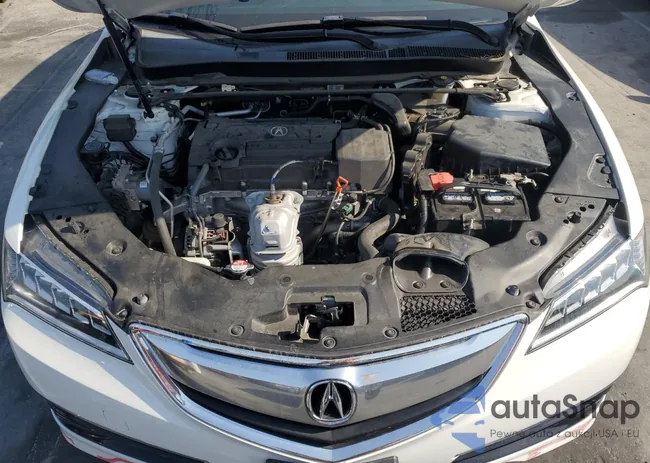 19UUB1F52HA001517: 68392155