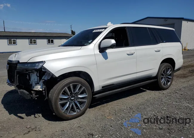 1GYS4FKL3MR399070: 69247615