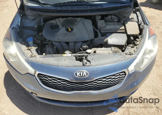 KNAFK5A86G5631299: 67621605