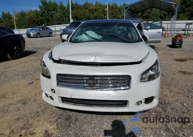 1N4AA5AP7BC841296: 71175475