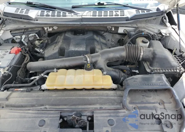 1FTEW1E45LKF14442: 67584885