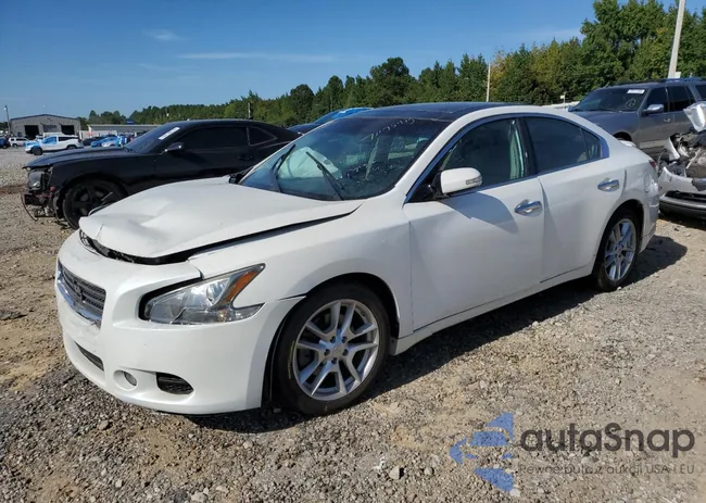 1N4AA5AP7BC841296: 71175475