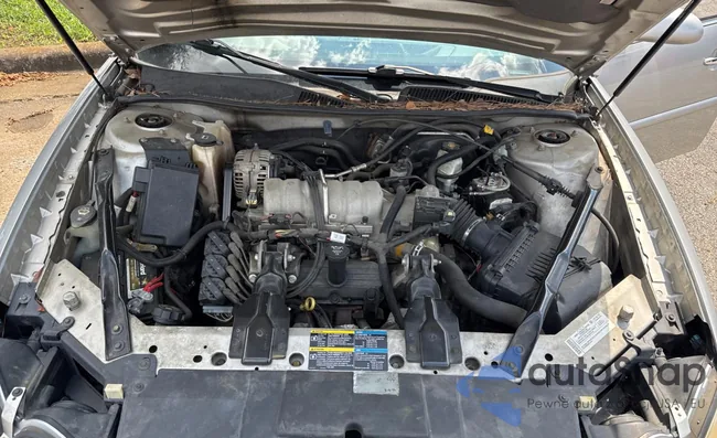 2G4WD552771173904: 69809195