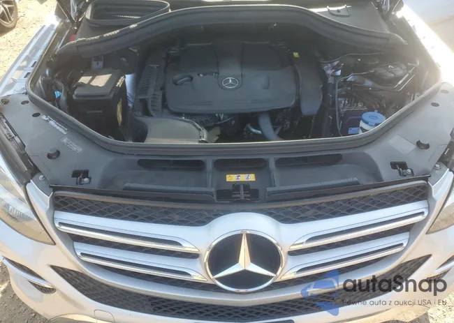 4JGDA5HB3GA799743: 68055445