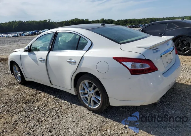 1N4AA5AP7BC841296: 71175475