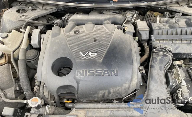 1N4AA6AP8GC420765: 71498004